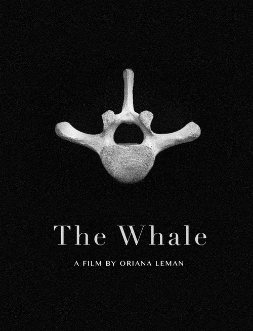The Whale (2020) poster