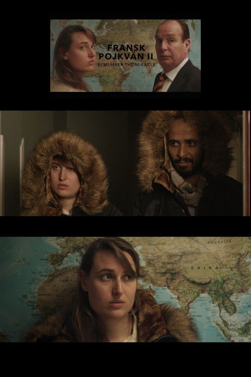 Fransk pojkvän II (2016) poster