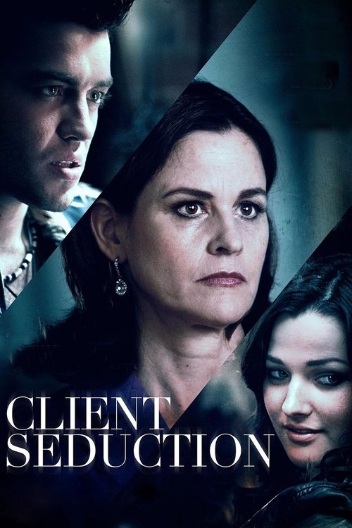 Client Seduction (2014) poster