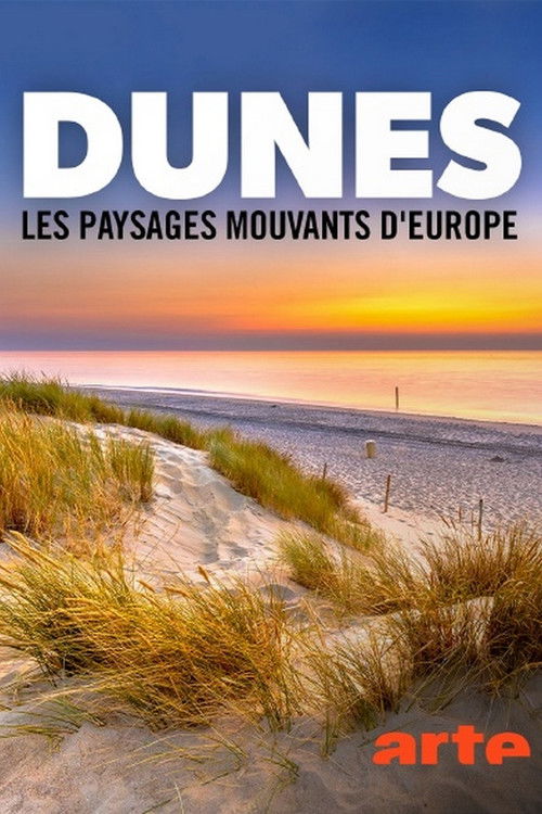 Dünen: Europas wandernde Landschaften (2021) poster