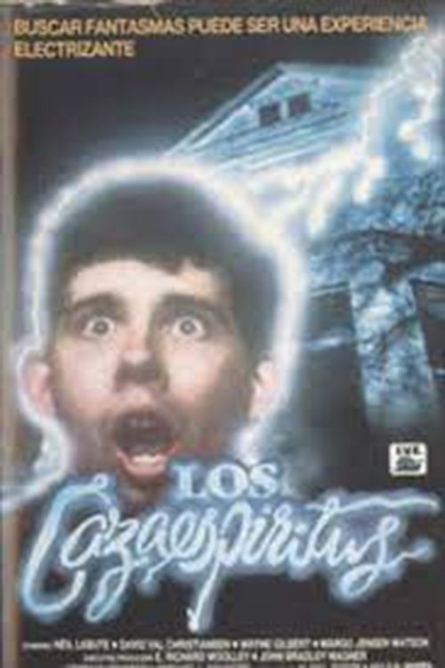 High School Spirits (1986) poster