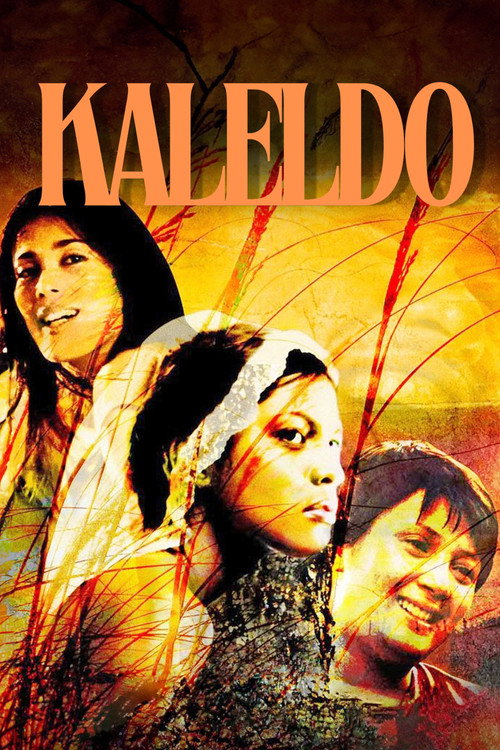 Kàleldo (2006) poster