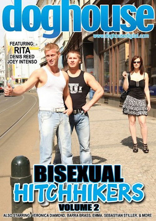Bisexual Hitchhikers 2 (2011) poster