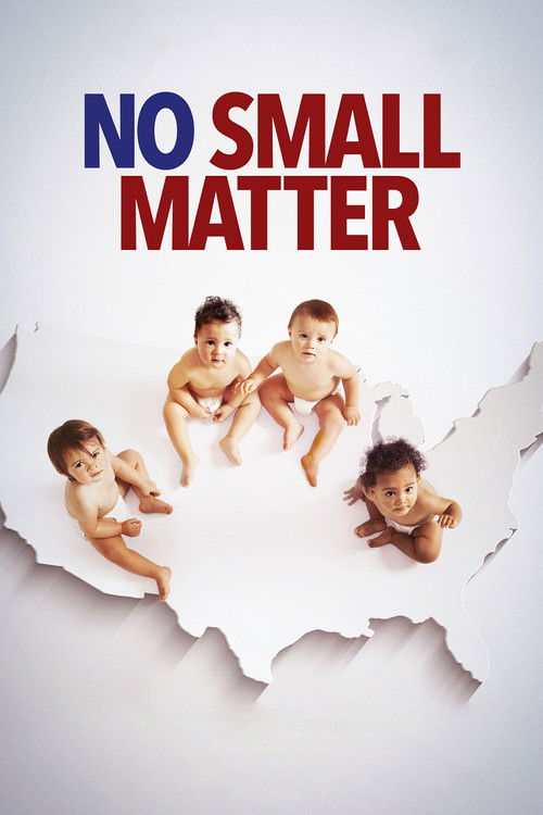 No Small Matter (2019) poster