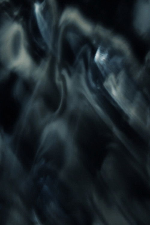 Lifelight (2025) poster