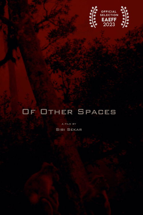 Of Other Spaces (2021) poster