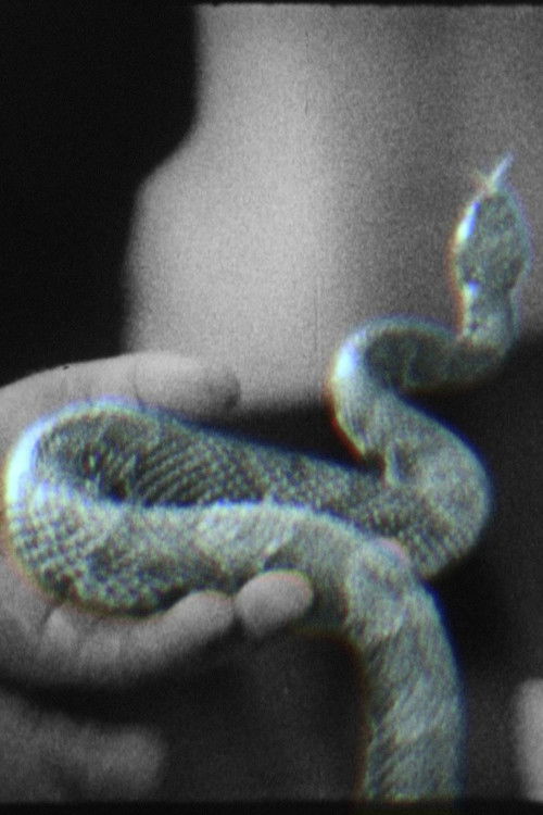 Quickeners (2014) poster