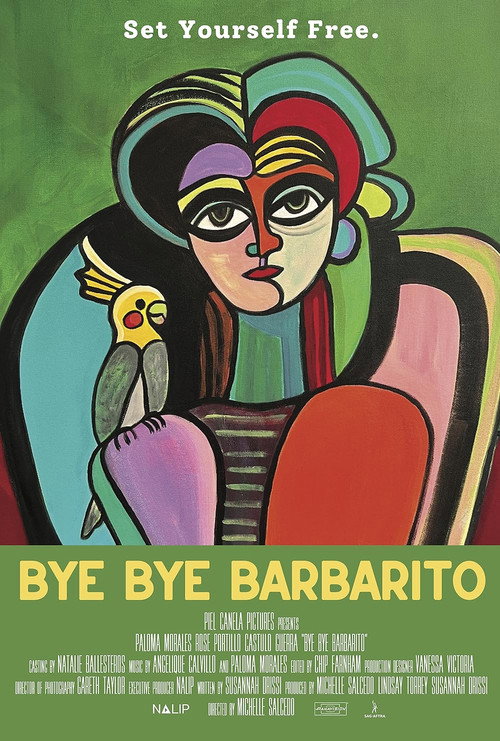 Bye Bye Barbarito (2025) poster