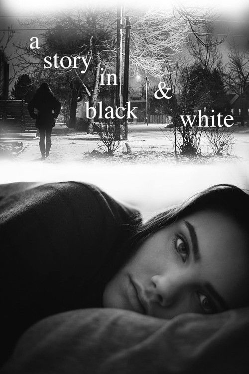 A Story in Black & White (2016) poster