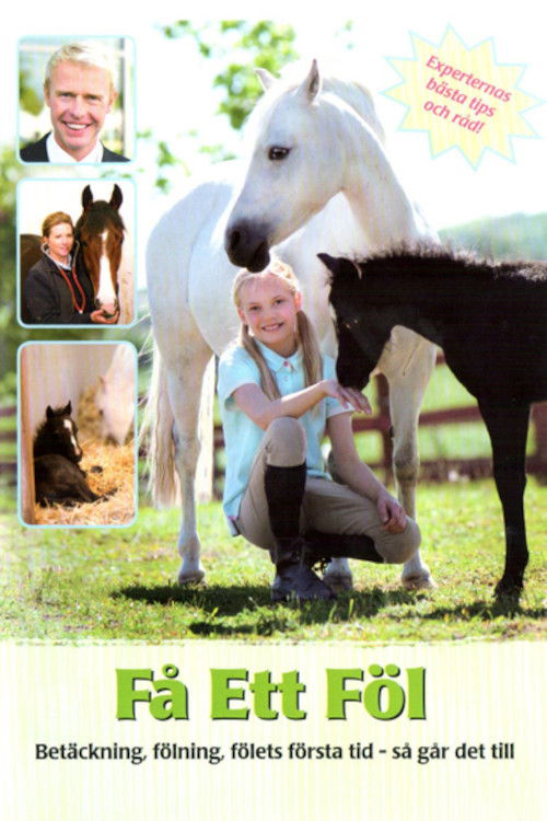 Få ett föl (2011) poster