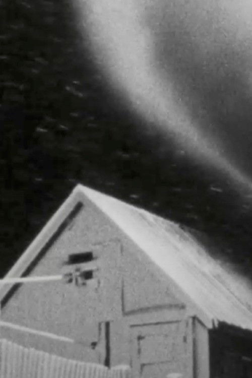 Snow What? (1975) poster