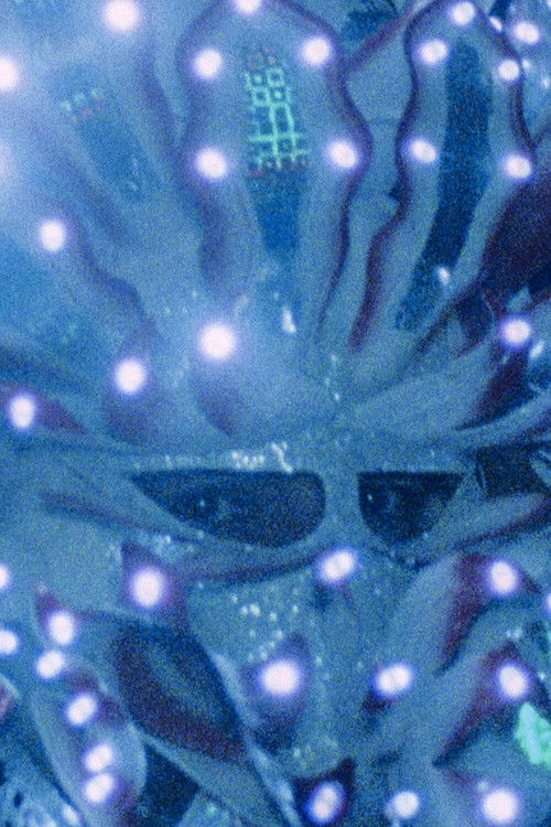 The Fortune You Seek Is In Another Cookie (2014) poster