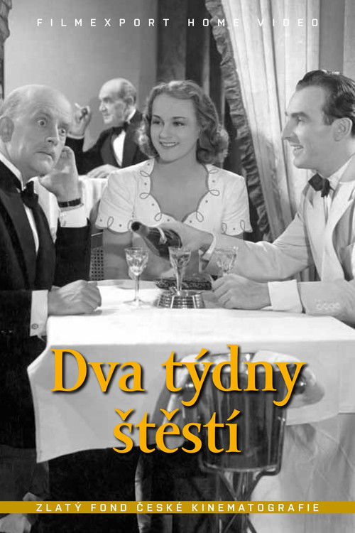 Dva týdny štěstí (1940) poster
