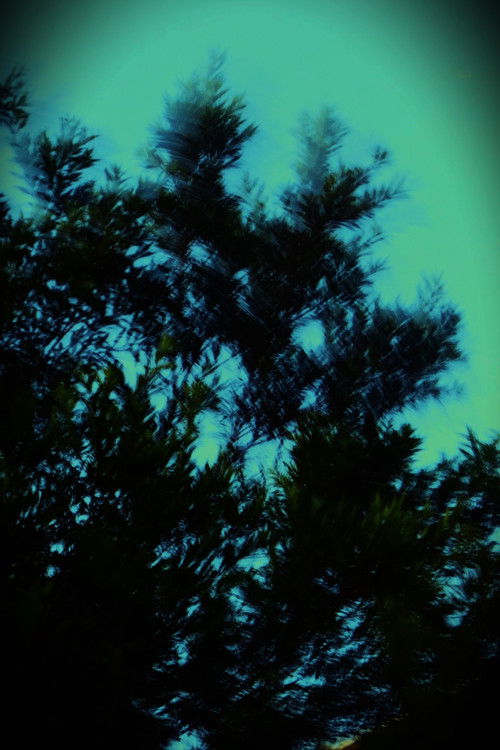 REGISTRANDO O TEMPO (2024) poster