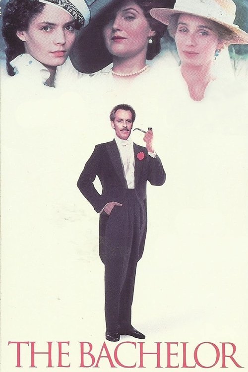 The Bachelor (1990) poster