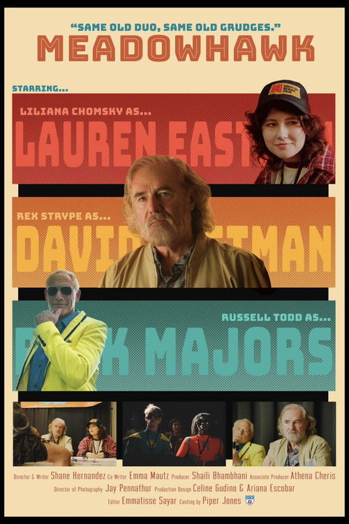 Meadowhawk (2025) poster