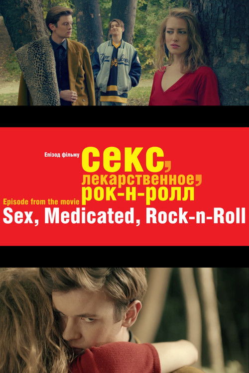 Sex, Medicated, Rock’n’Roll (2013) poster
