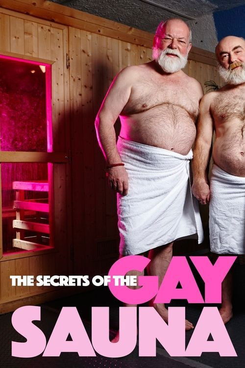 Secrets of the Gay Sauna (2016) poster