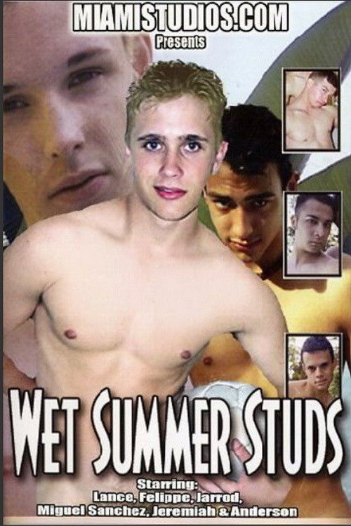 Wet Summer Studs (2002) poster
