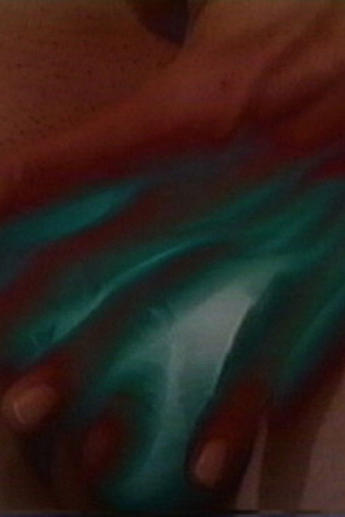 Trembling Flesh (2001) poster