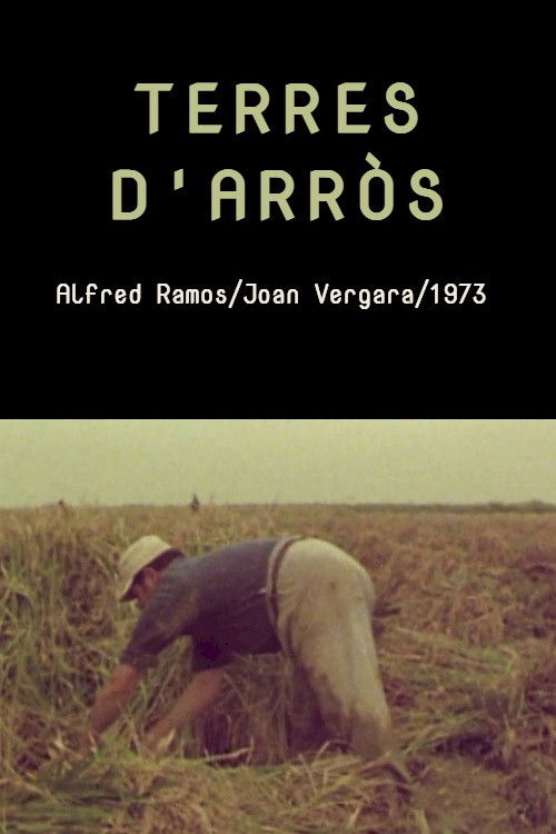Terres d'arròs (1973) poster