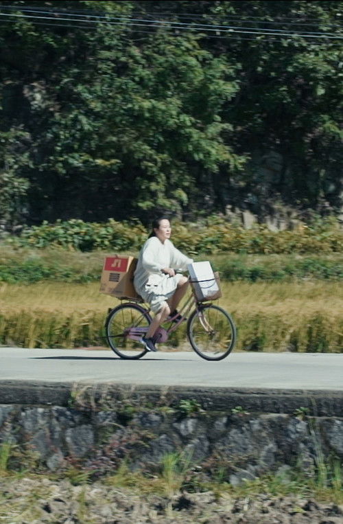 Mac-boogie (2017) poster