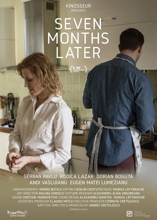 Seven Months Later (2016) poster
