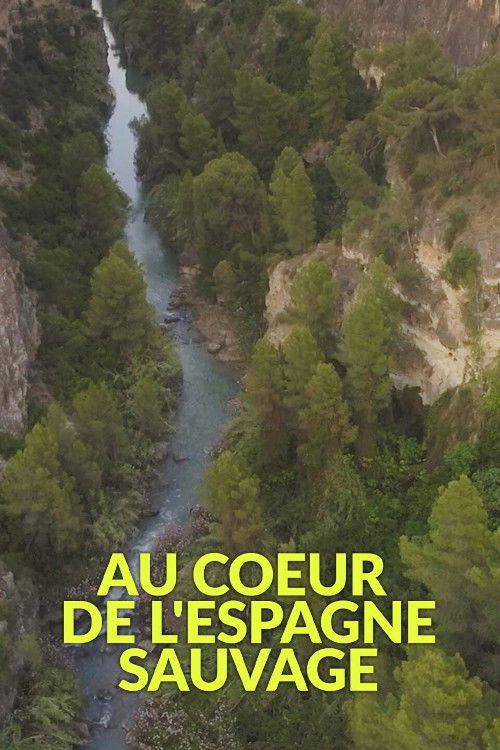 The Wild Heart of Spain (2019) poster