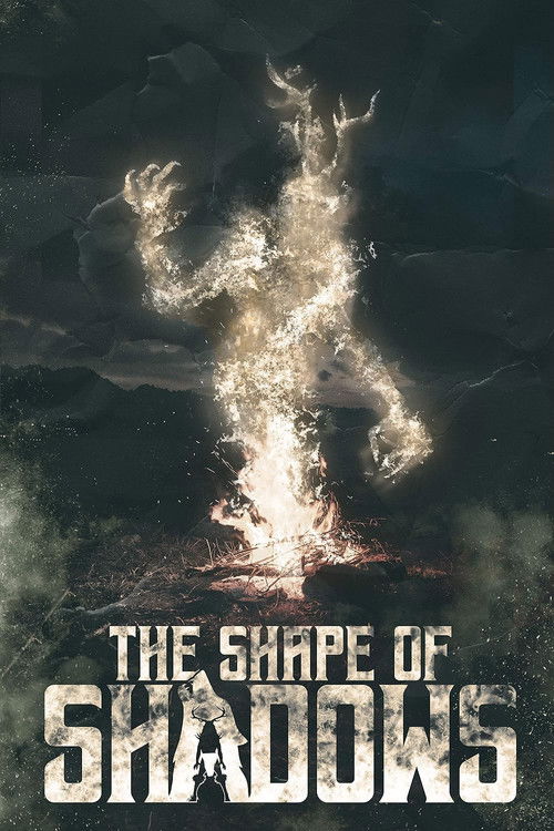 The Shape of Shadows (2023) poster
