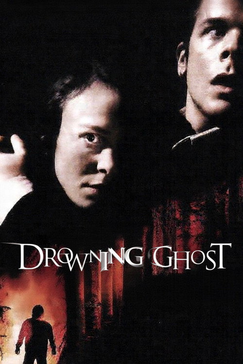 Strandvaskaren (2004) poster