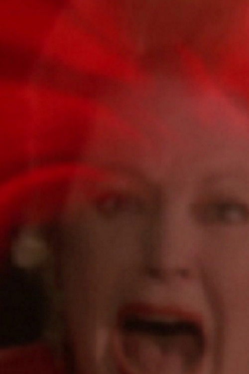 The Immigrant (1986) poster