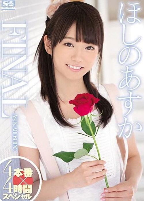 Asuka Hoshino Final - 4 Fucks x 4 Hours Special (2014) poster