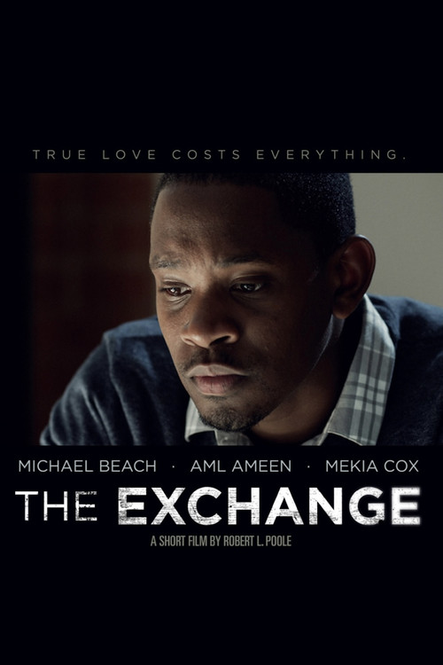 The Exchange (2013) poster