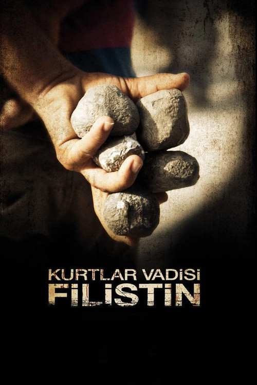 Kurtlar Vadisi: Filistin (2011) poster