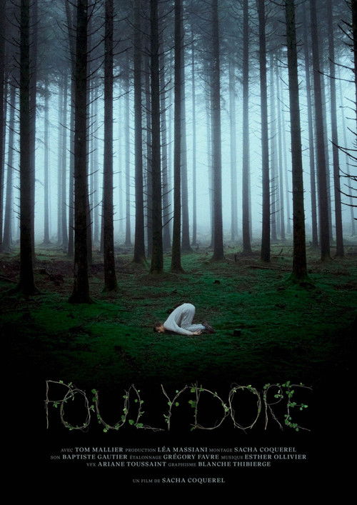 Poulydore poster