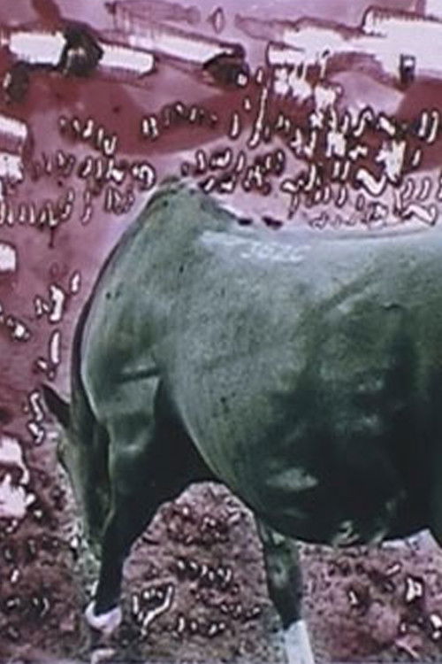 ORIFSO (1999) poster