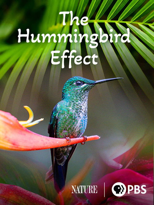 The Hummingbird Effect (2023) poster