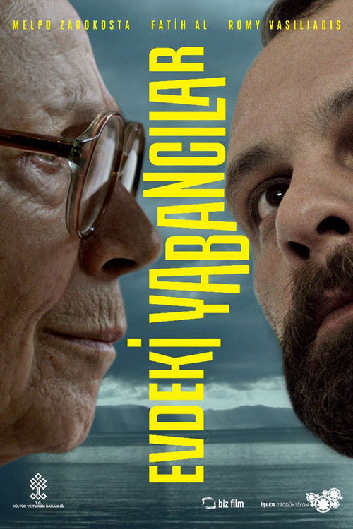 Strangers in the House (2013) poster