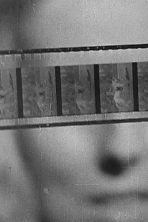 The Birth of Cinema (1946) poster