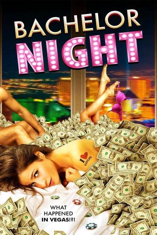Bachelor Night (2014) poster