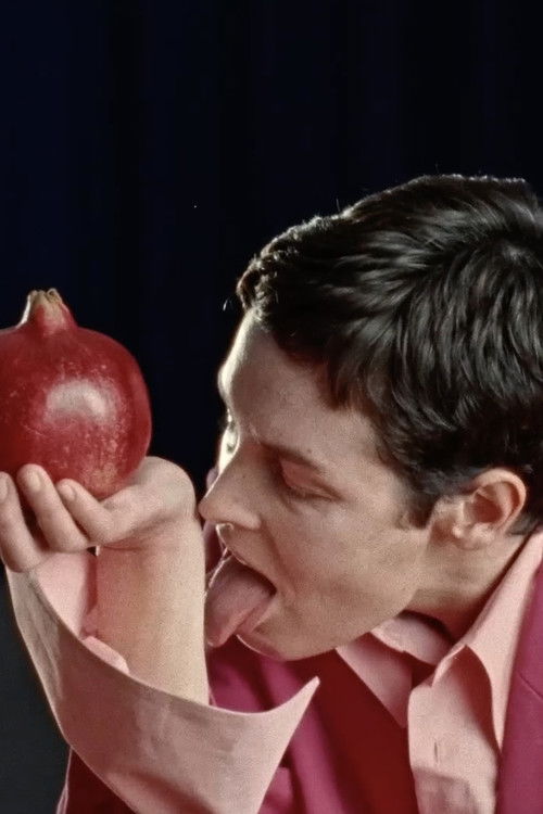 Am Rande des Vorhangs (2022) poster