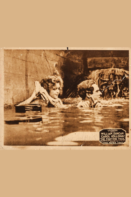 The Fighting Trail (1917) poster