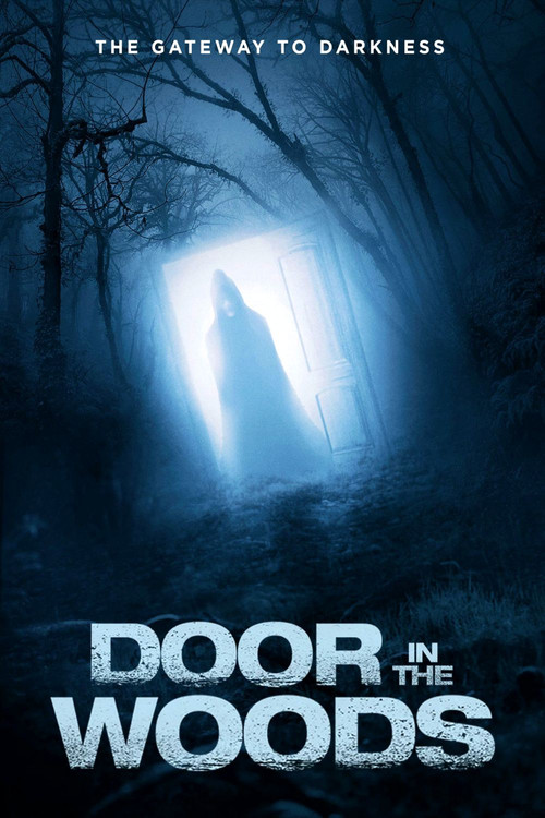 Door in the Woods (2019) poster