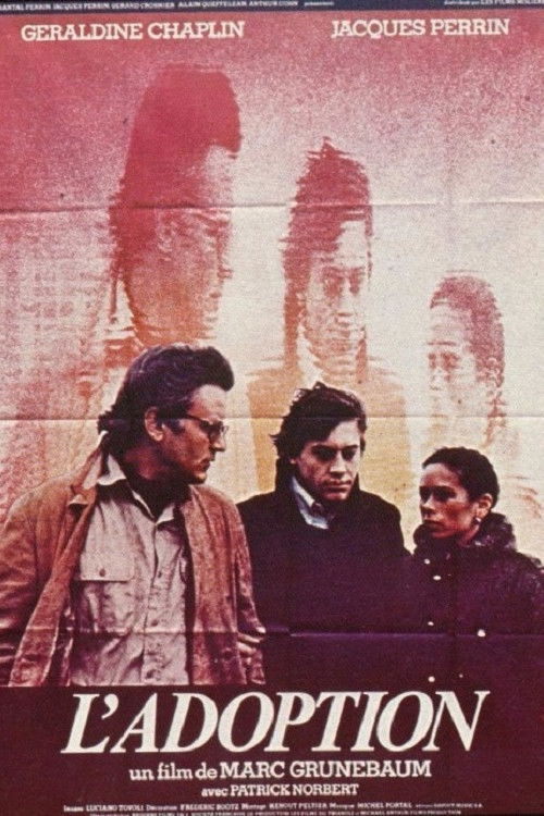 Adoption (1979) poster
