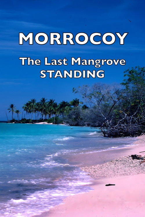 Morrocoy: The Last Mangrove Standing (2000) poster