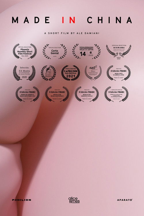 Made in China (2021) poster