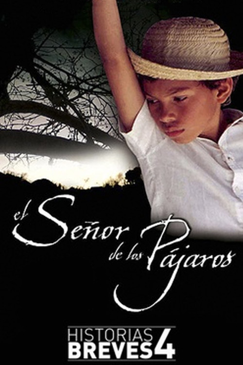 El señor de los pájaros (2004) poster