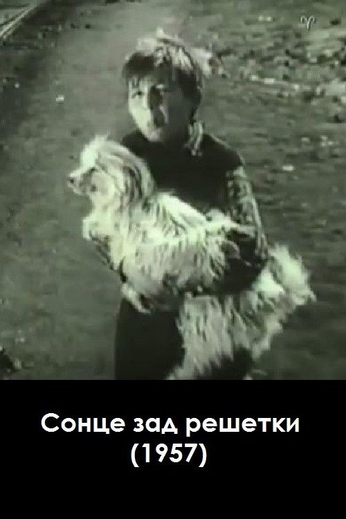 A Sun Behind Bars (1957) poster