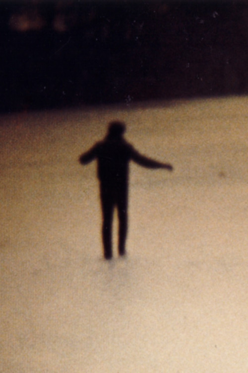 Vertical/Horizontal (1985) poster