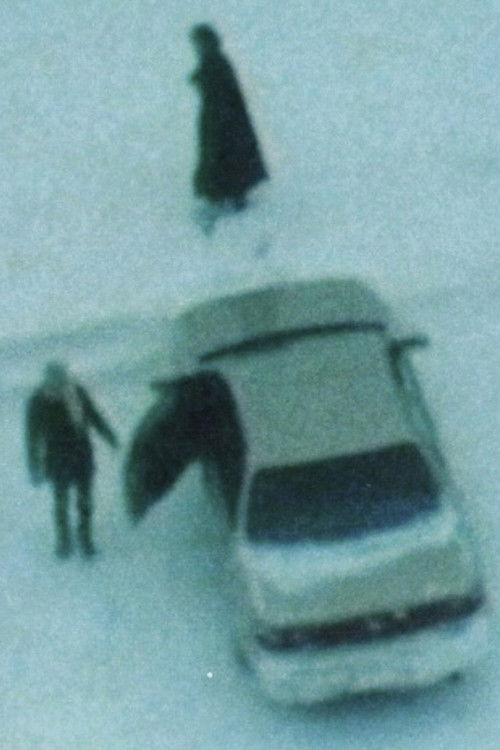 The Mirage, The Horizon (Short Version) (1997) poster